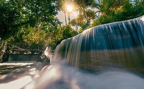 Tabacón Thermal Resort&Spa